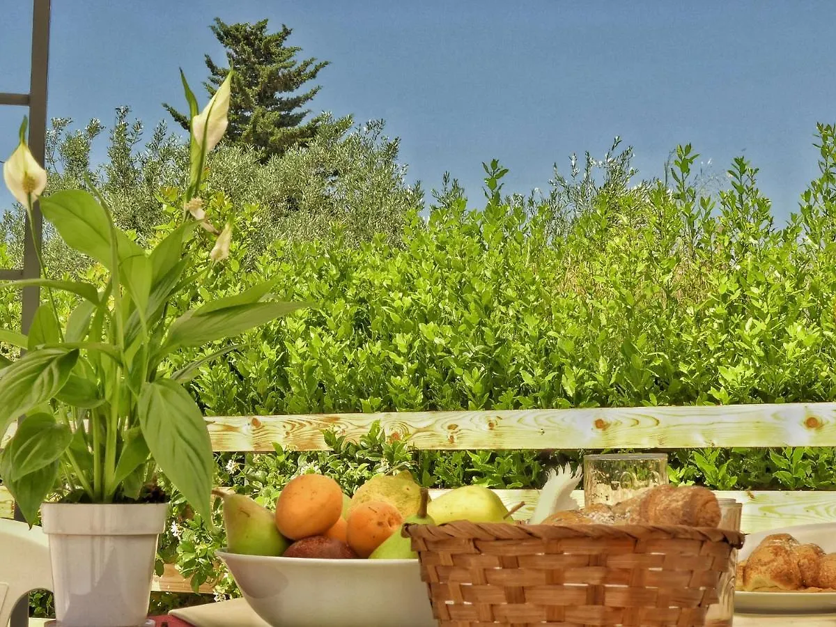 Gelsomino B&B Испика Отель типа 